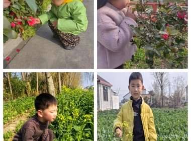 《趣探惊蛰  发现春天》