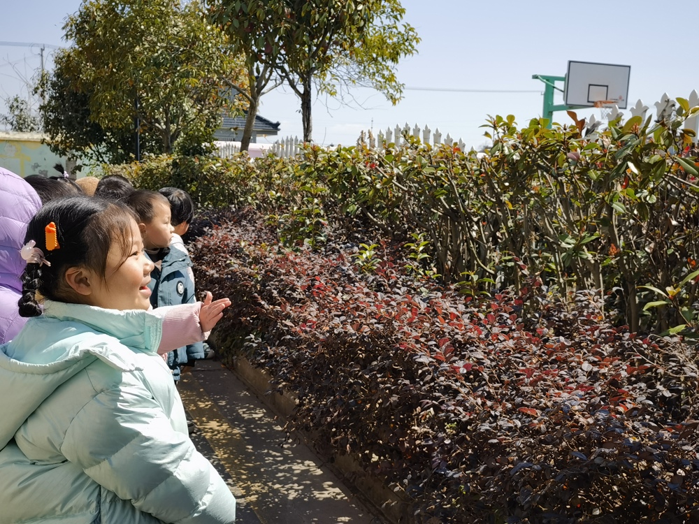 d6433cd37f594700b038cb4ab118c944.jpg d6433cd37f594700b038cb4ab118c944.jpg