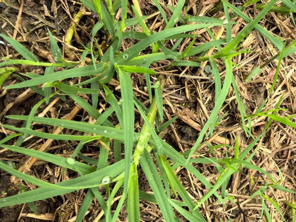 1690486011aa4b40a1e6aa9ae32bea01.jpg 1690486011aa4b40a1e6aa9ae32bea01.jpg