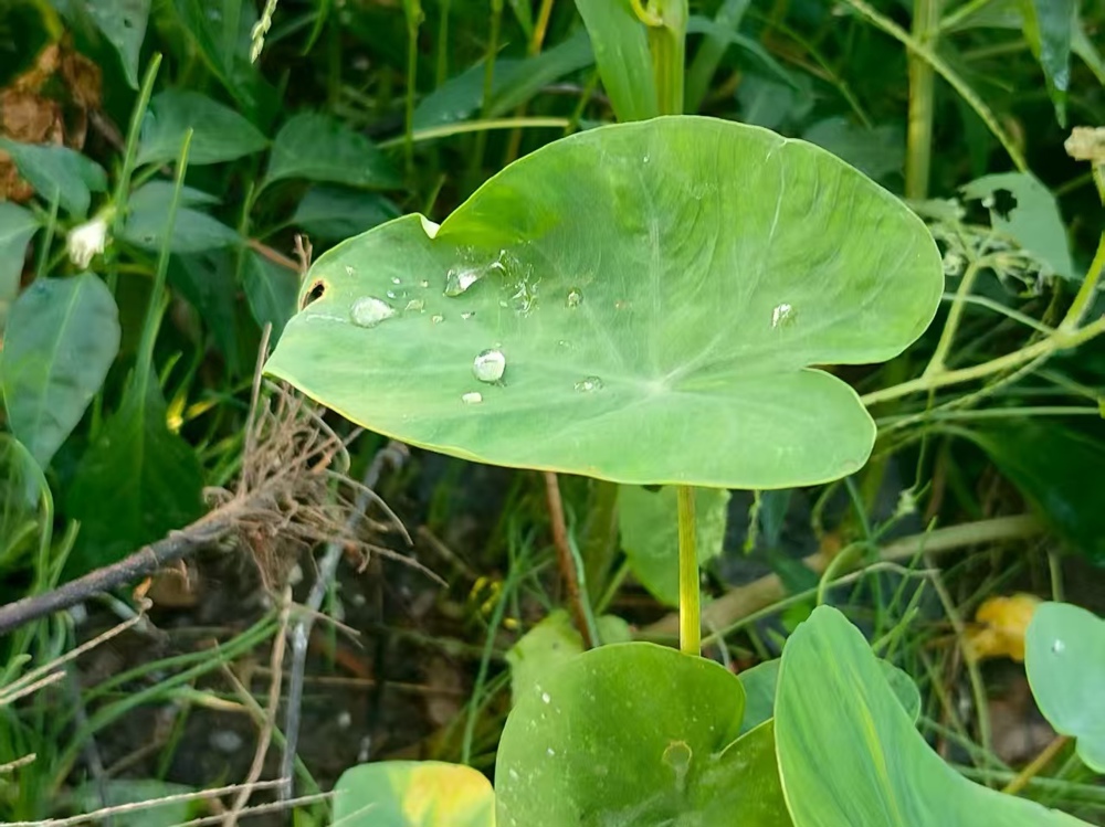 dce9ca750a5f48d495fcfb02abdcaa4f.jpg dce9ca750a5f48d495fcfb02abdcaa4f.jpg