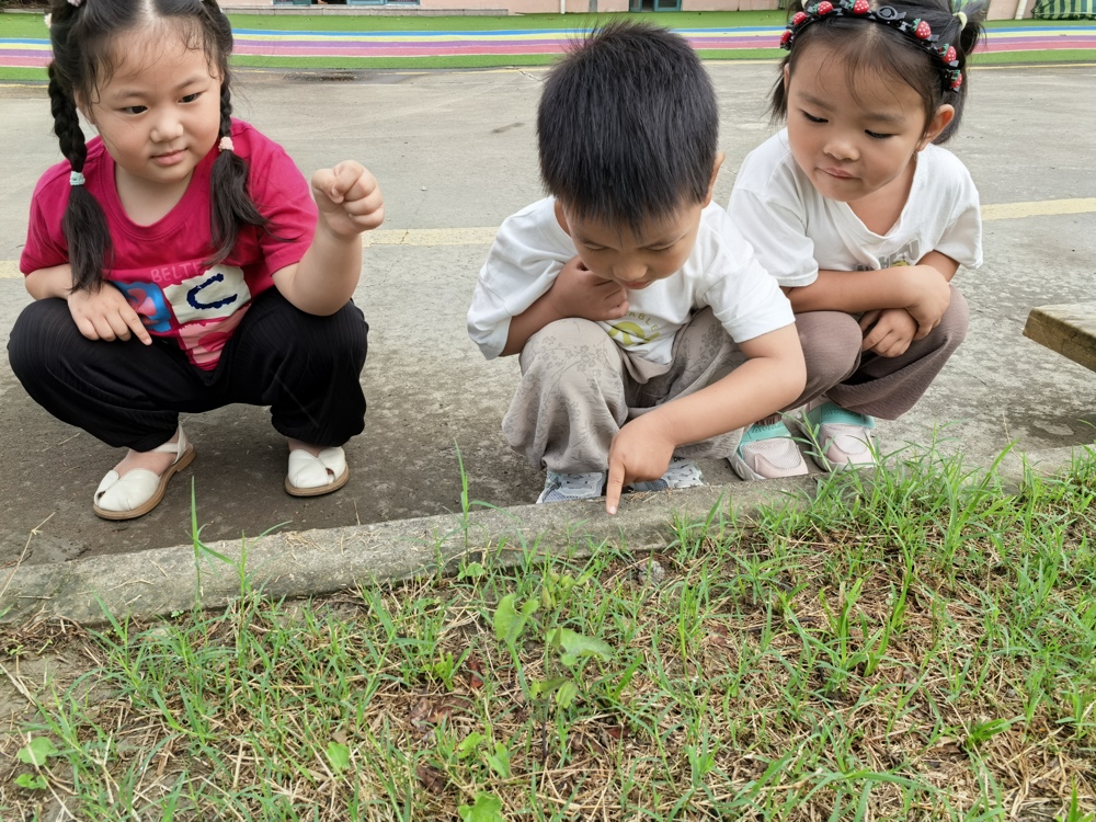 e43ba4fd5de54a5fa4bc41d0571baad3.jpg e43ba4fd5de54a5fa4bc41d0571baad3.jpg