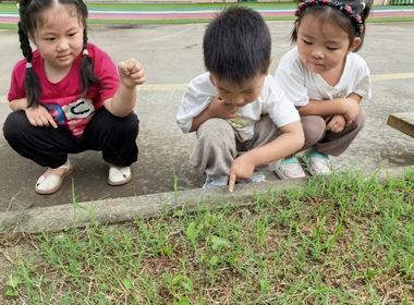 与露珠共舞  寻秋日诗意
