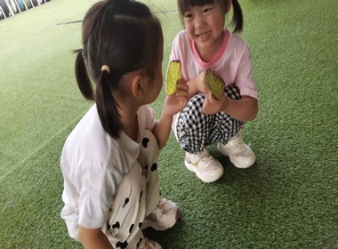 “秋”意渐浓  “分”外美好