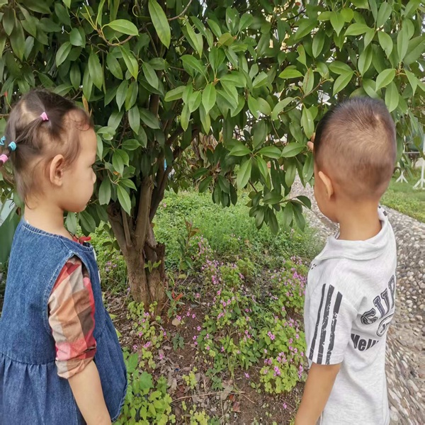 78e032b829654502a77ef612680ccba0.jpg 78e032b829654502a77ef612680ccba0.jpg